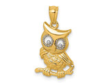 14K Yellow Gold Polished and Textured Owl Pendant (NO CHAIN)